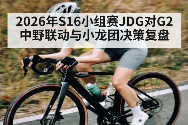 2026年S16小组赛JDG对G2中野联动与小龙团决策复盘